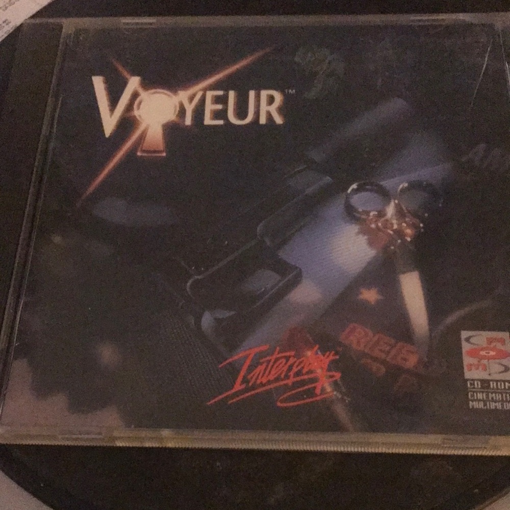 Voyeur Interactive PC Game